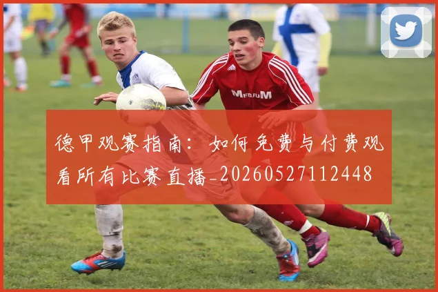 德甲观赛指南：如何免费与付费观看所有比赛直播_20260527112448