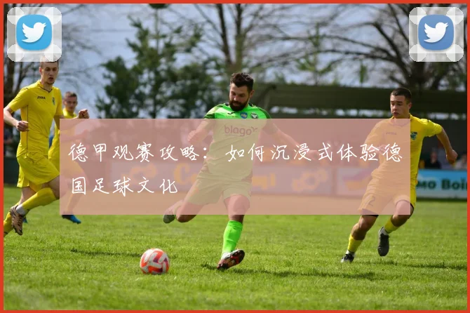 德甲观赛攻略:如何沉浸式体验德国足球文化