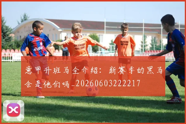 意甲升班马全介绍:新赛季的黑马会是他们吗_20260603222217