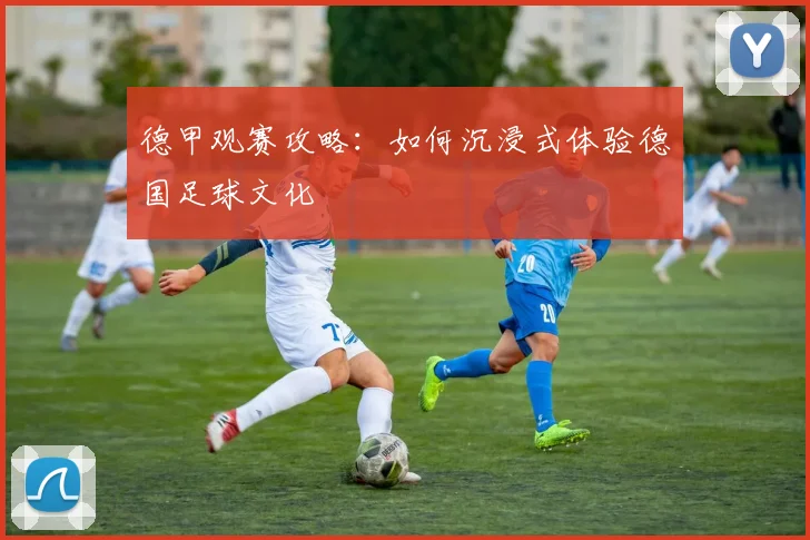 德甲观赛攻略:如何沉浸式体验德国足球文化
